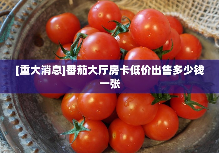 [重大消息]番茄大厅房卡低价出售多少钱一张