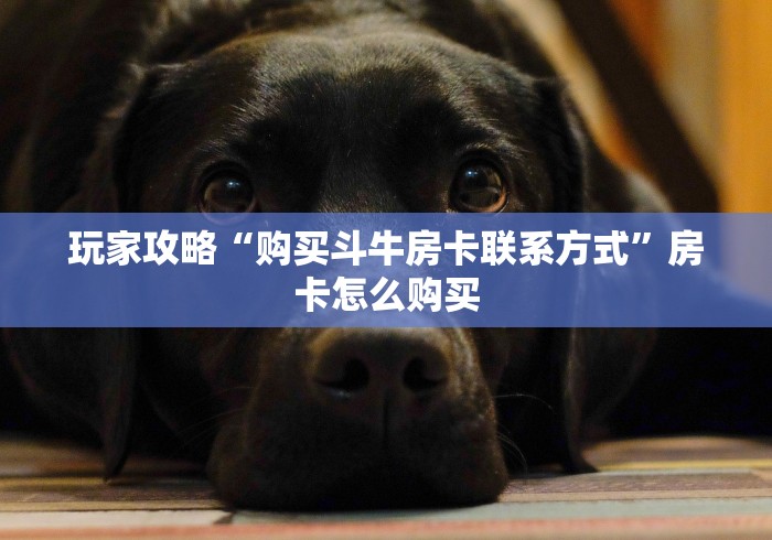 玩家攻略“购买斗牛房卡联系方式”房卡怎么购买