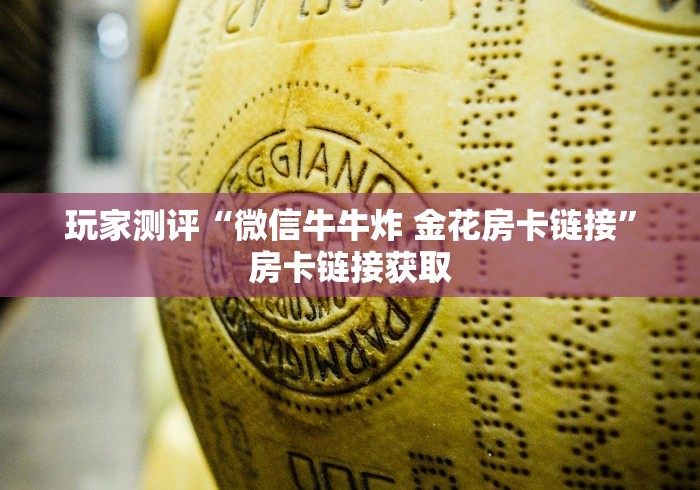 玩家测评“微信牛牛炸 金花房卡链接”房卡链接获取