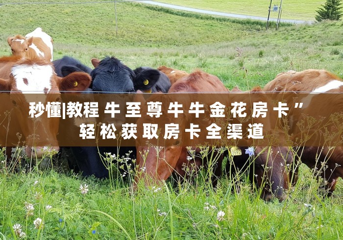 秒懂|教程 牛 至 尊 牛 牛 金 花 房 卡 ” 轻 松 获 取 房 卡 全 渠 道	