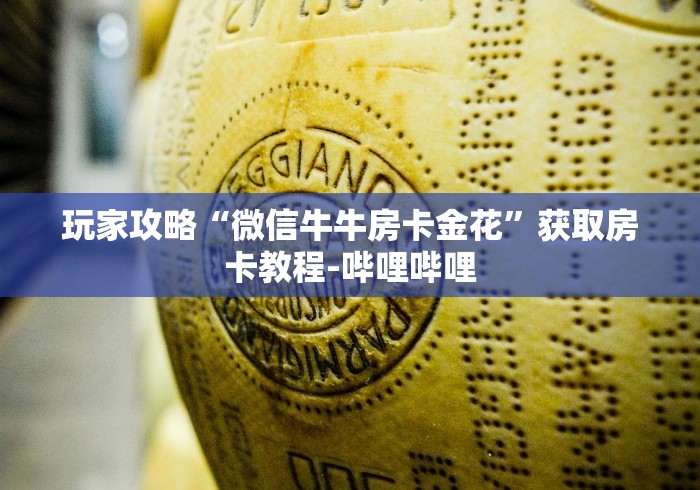 玩家攻略“微信牛牛房卡金花”获取房卡教程-哔哩哔哩