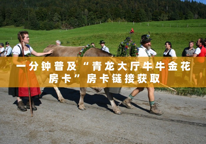 一 分 钟 普 及 “ 青 龙 大 厅 牛 牛 金 花 房 卡 ” 房 卡 链 接 获 取	