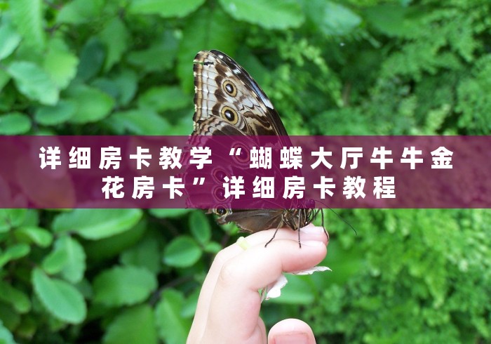 详 细 房 卡 教 学 “ 蝴 蝶 大 厅 牛 牛 金 花 房 卡 ” 详 细 房 卡 教 程	