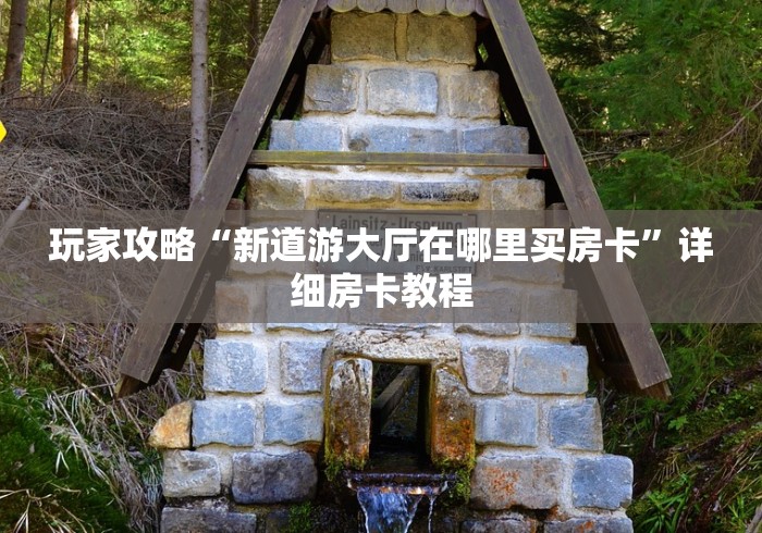 玩家攻略“新道游大厅在哪里买房卡”详细房卡教程