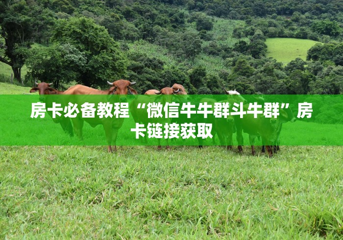 房卡必备教程“微信牛牛群斗牛群”房卡链接获取