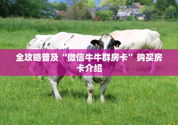 全攻略普及“微信牛牛群房卡”购买房卡介绍