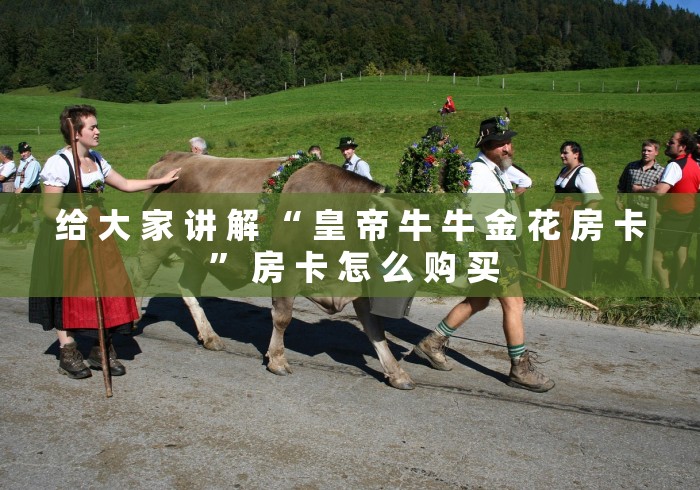 给 大 家 讲 解 “ 皇 帝 牛 牛 金 花 房 卡 ” 房 卡 怎 么 购 买	